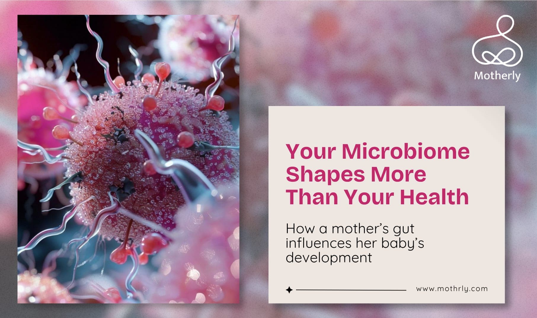 The Mother’s Gut Microbiome Shapes the Baby’s Health for Decades. What Every Mother Needs to Know About the Ecosystem Inside Her.
